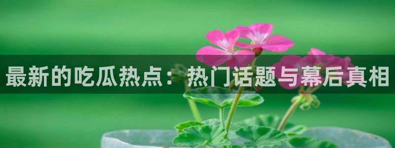最新黑料事件始末