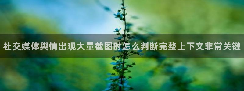 职场黑料最新消息