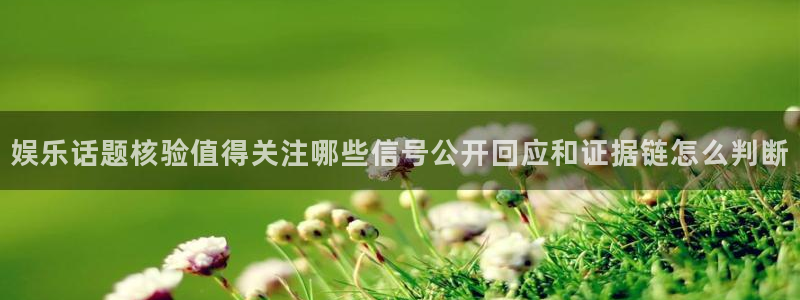 网红黑料真伪核验