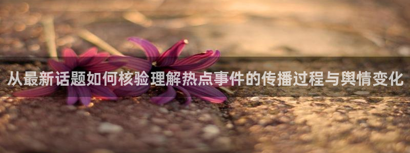 主播黑料事件始末