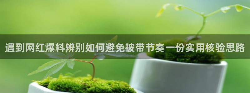 独家黑料信息汇总