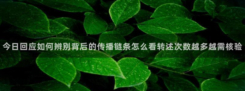 最新黑料证据梳理