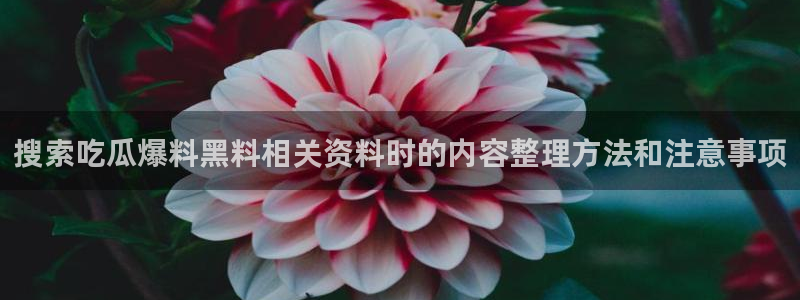 最新黑料证据梳理
