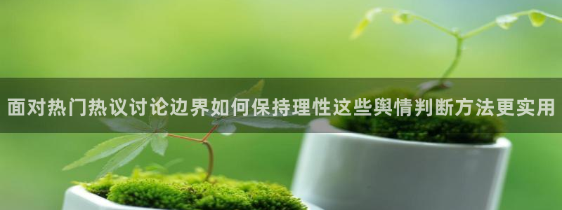 网红黑料证据梳理