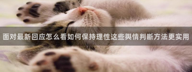 独家黑料信息汇总